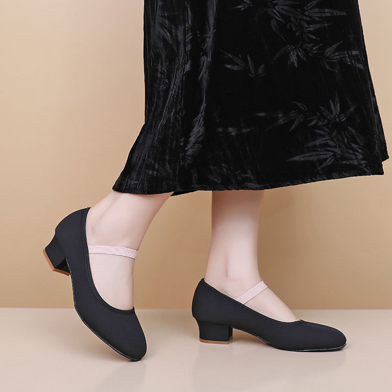 Балетки для танцев, женские та – обзор и цена Shoes Heels Men